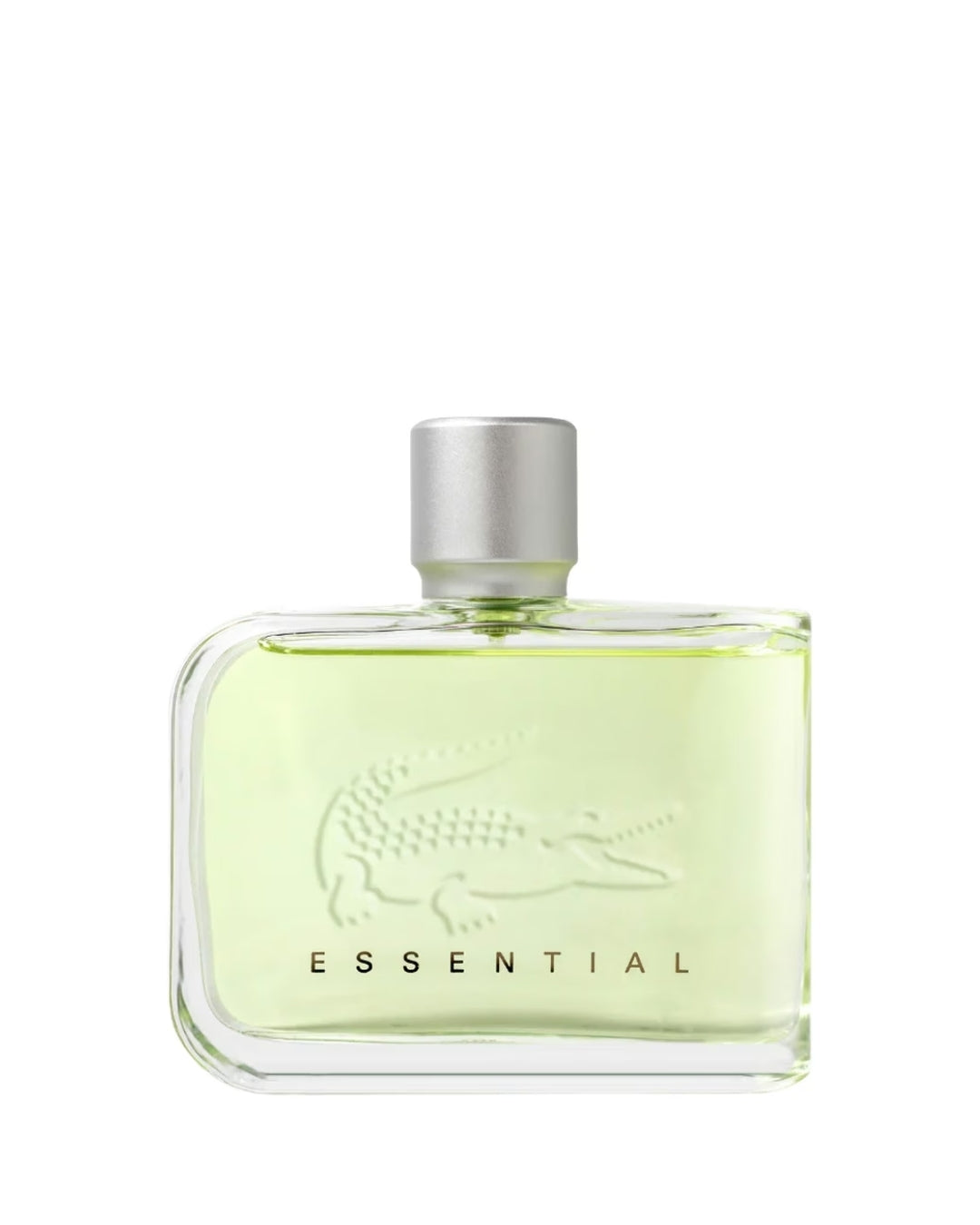 LACOSTE ESSENTIAL